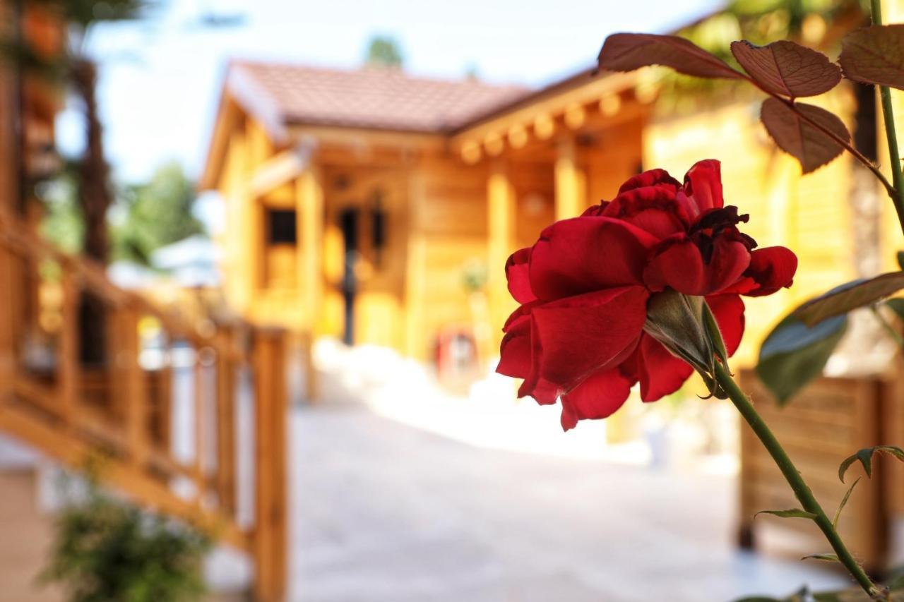 Hotel Bujtina Siar Pogradec Zewnętrze zdjęcie