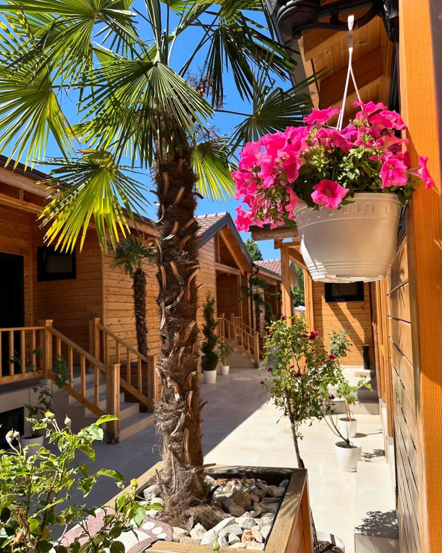 Hotel Bujtina Siar Pogradec Zewnętrze zdjęcie